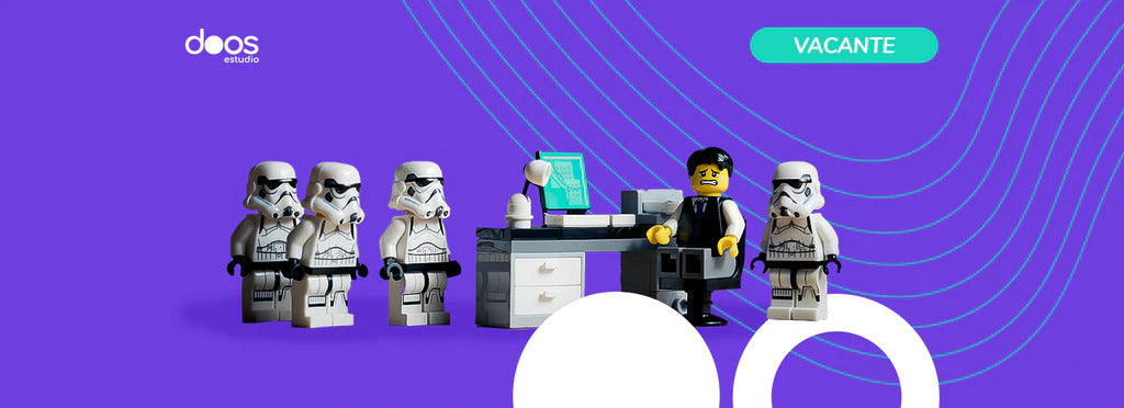 Vacante Web Developer